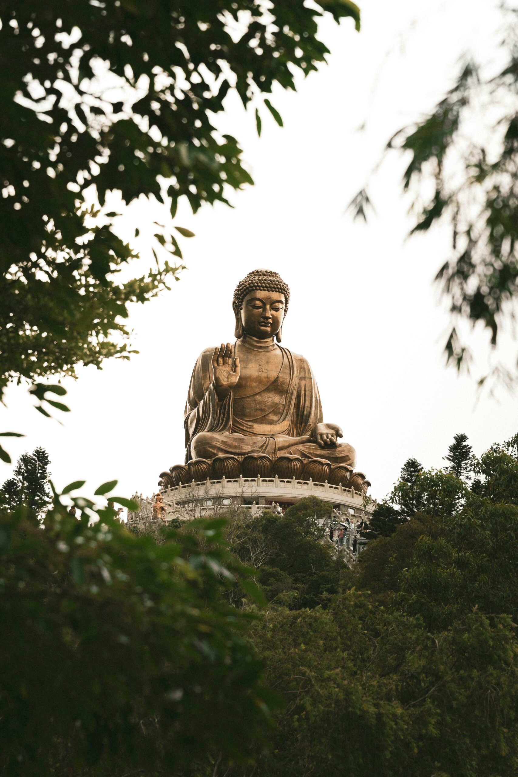 harrison lin 8ztkz3oyuvm unsplash