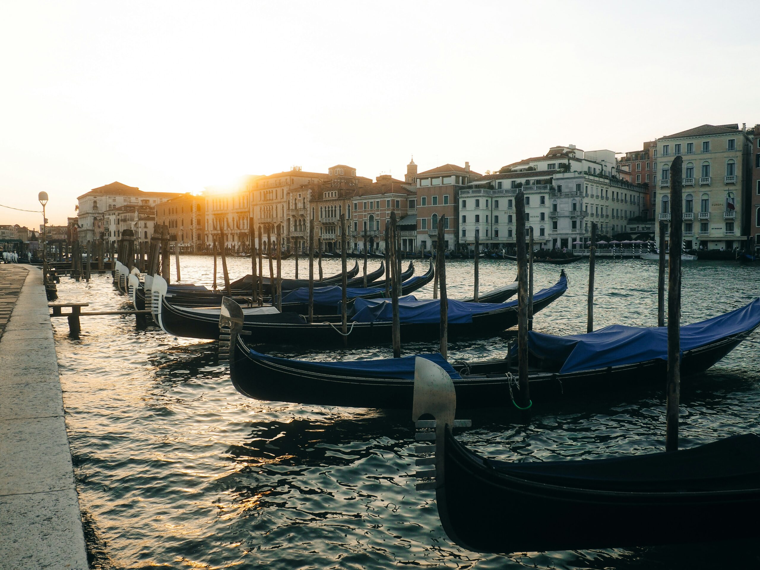 lens by benji ebj8ygnokwg unsplash